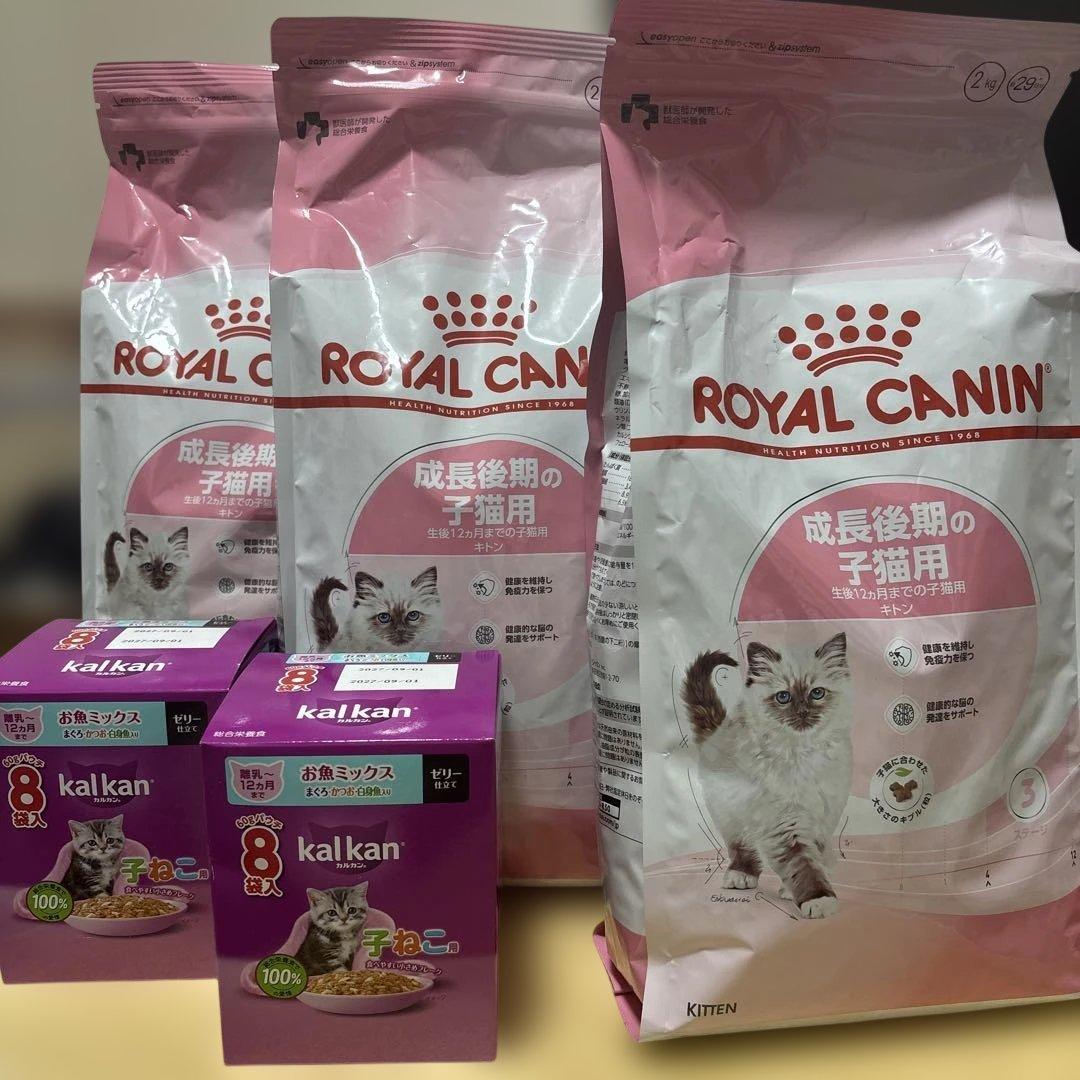 ロイヤルカナン成長後期の子猫用