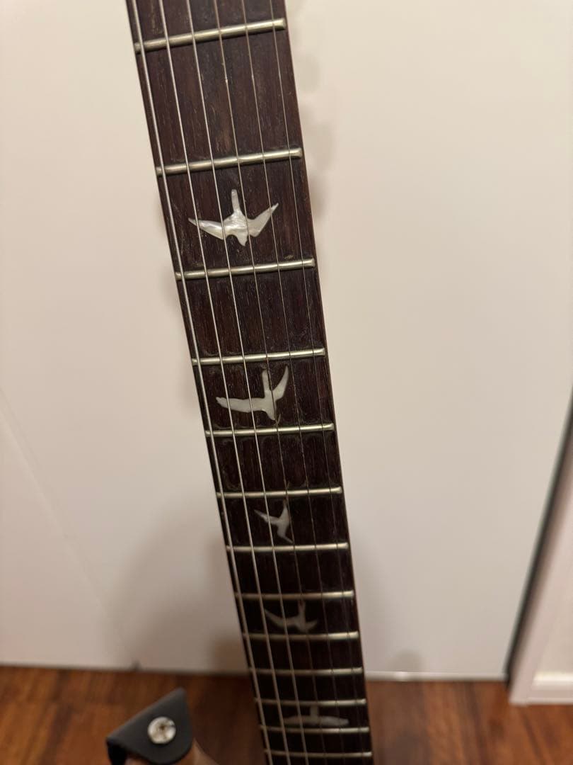 ギター SE Custom24 ryo.oyr621