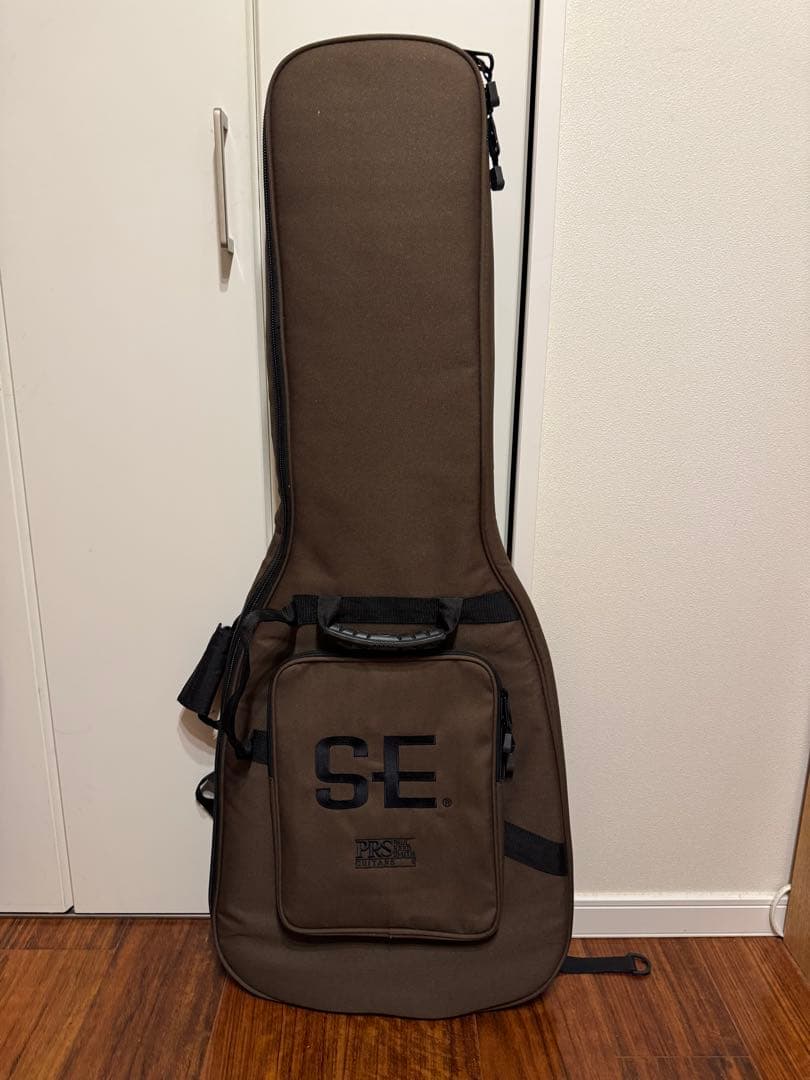 ギター SE Custom24 ryo.oyr621