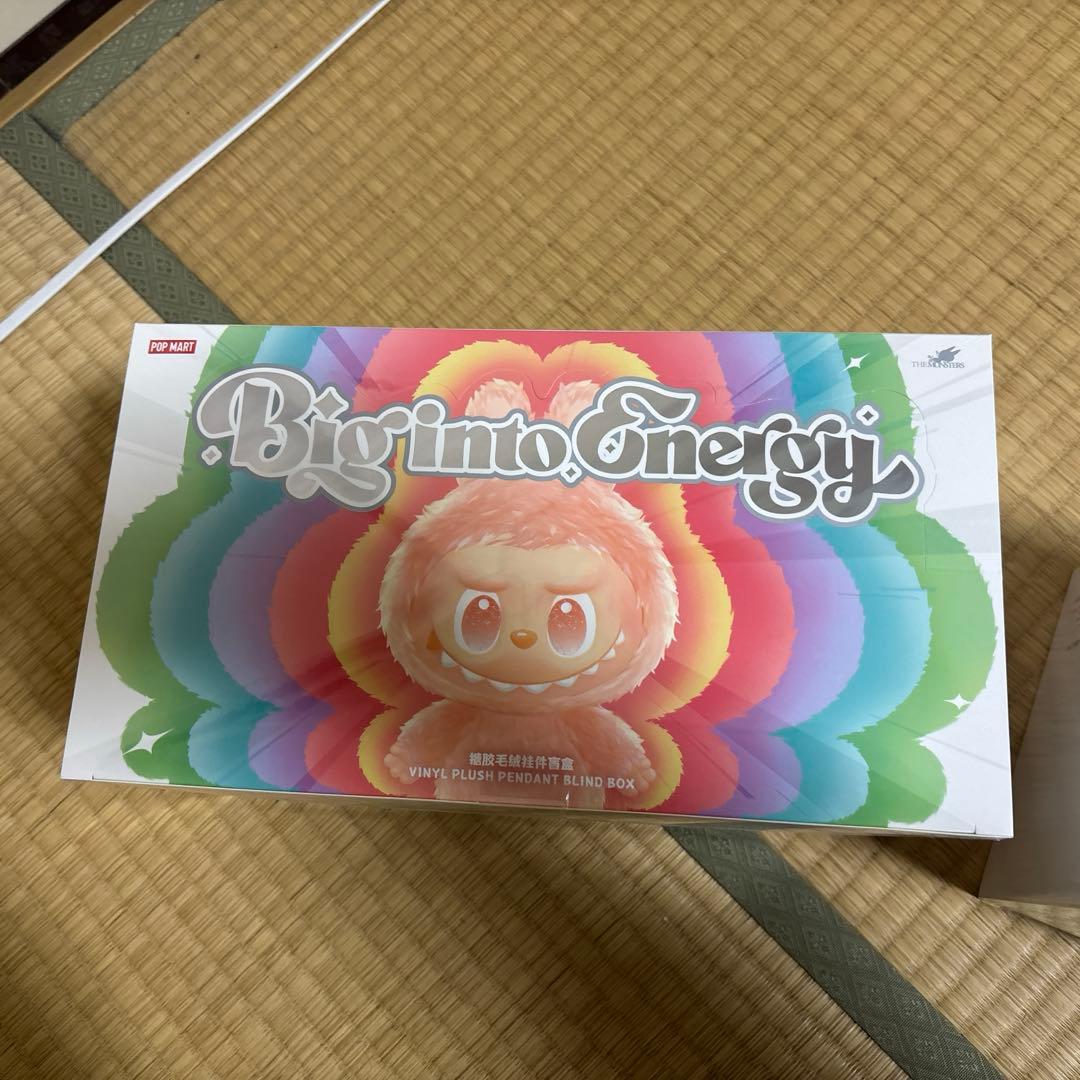 ぬいぐるみ Big into Energy Vinyl Figure Blind Box