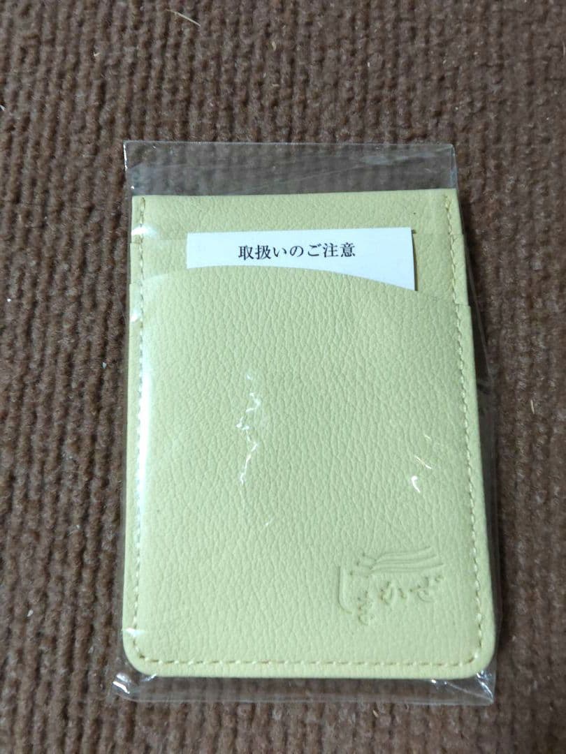 近鉄　しまかぜパスケース