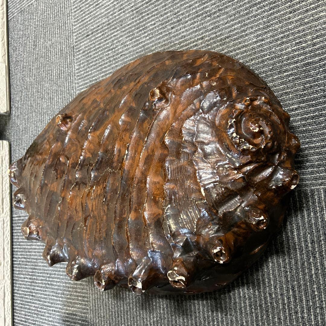 骨董品　大きなアワビの陶磁器