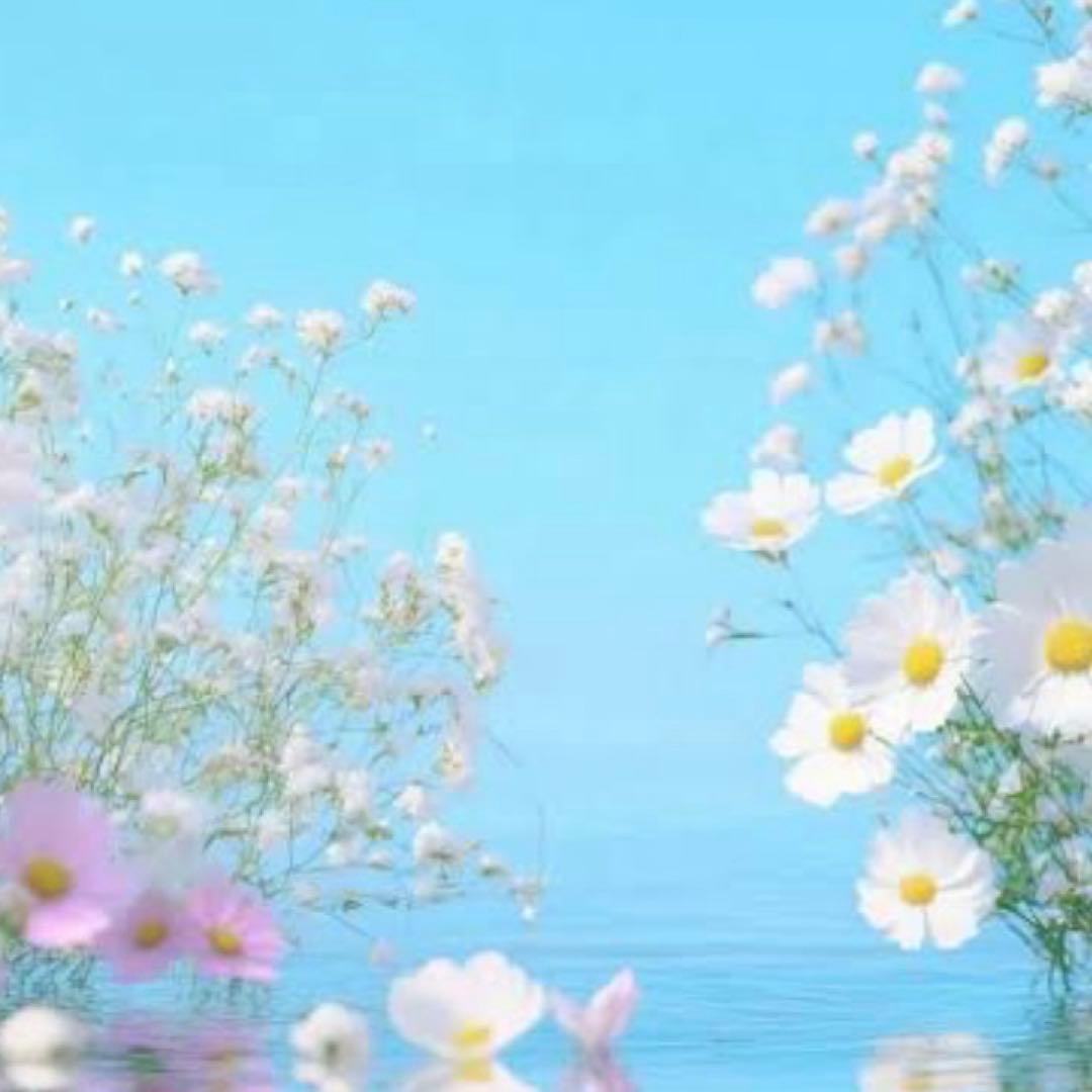 ゆうき様　U^ェ^U専用(=^x^=)