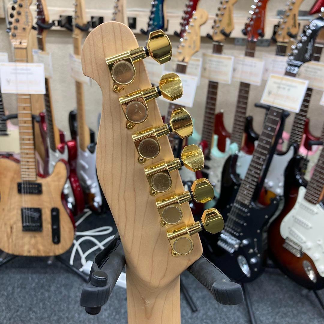 【9801】 True Temperament fretting system