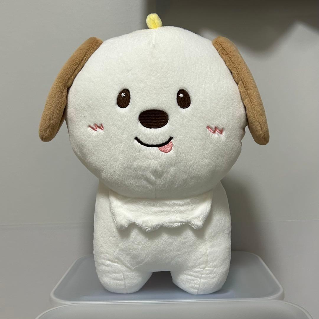 RIIZE 40cm doll アントン