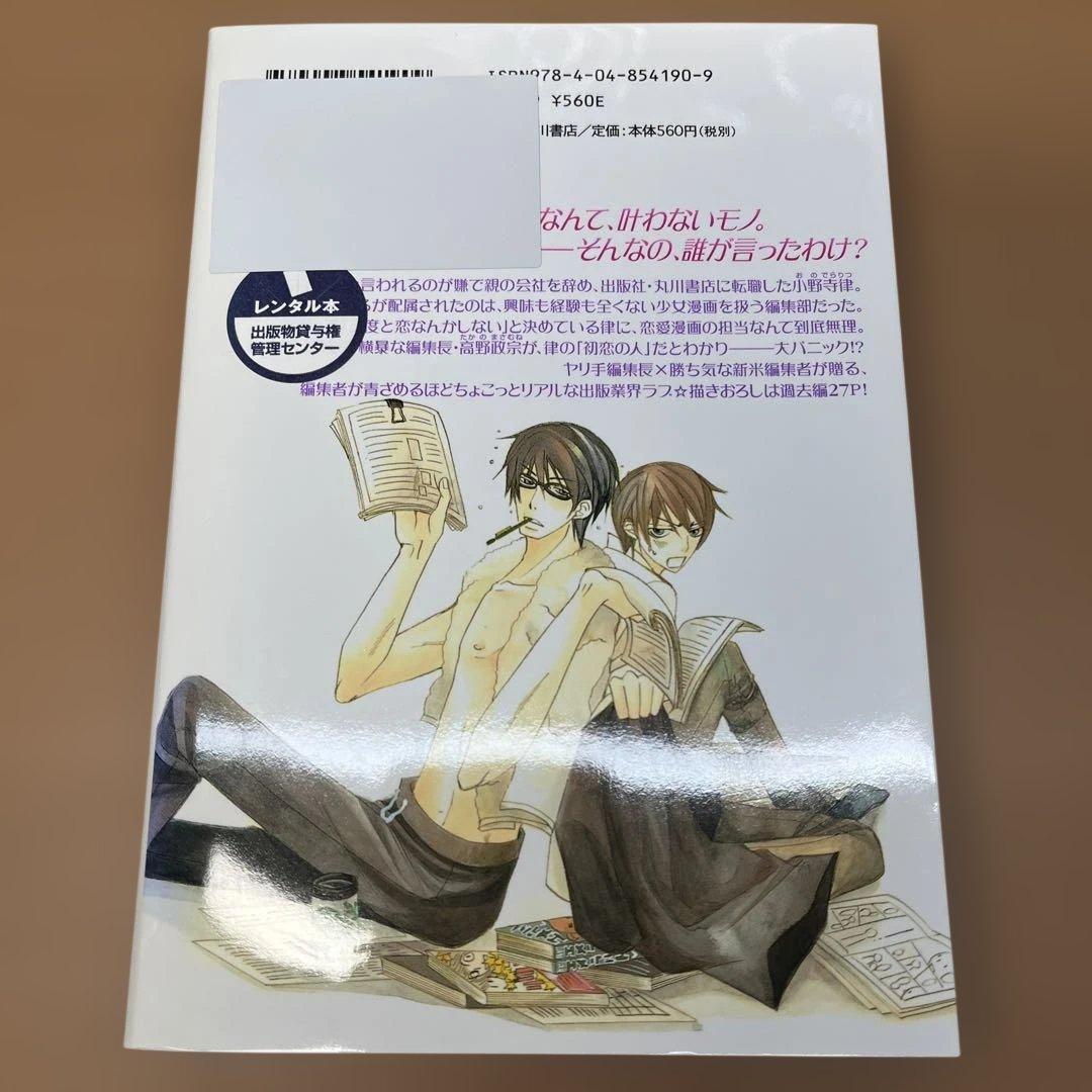 純情ロマンチカ 全巻セット 1-29巻 世界一初恋1-16セット 中村春菊