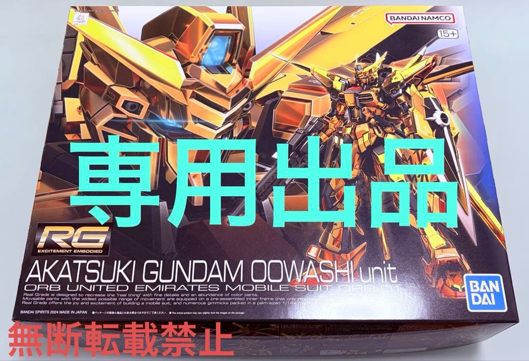 RGアカツキ 専用出品