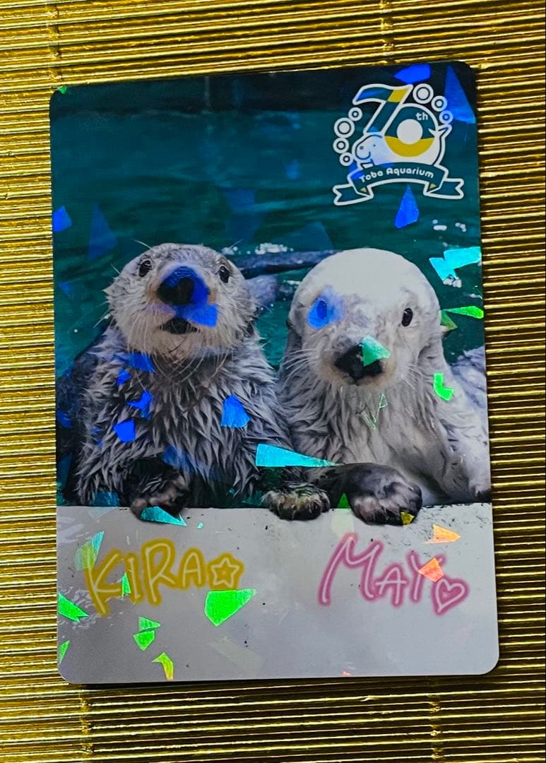 激レア！！⭐️鳥羽水族館⭐️70周年⭐️キラとメイ⭐️メイキラ⭐️メイちゃん　キラちゃん