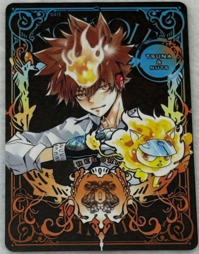 沢田綱吉　リボーン　マンガボドゲ　ジャンプフェスタ　ジャンフェス限定　特典