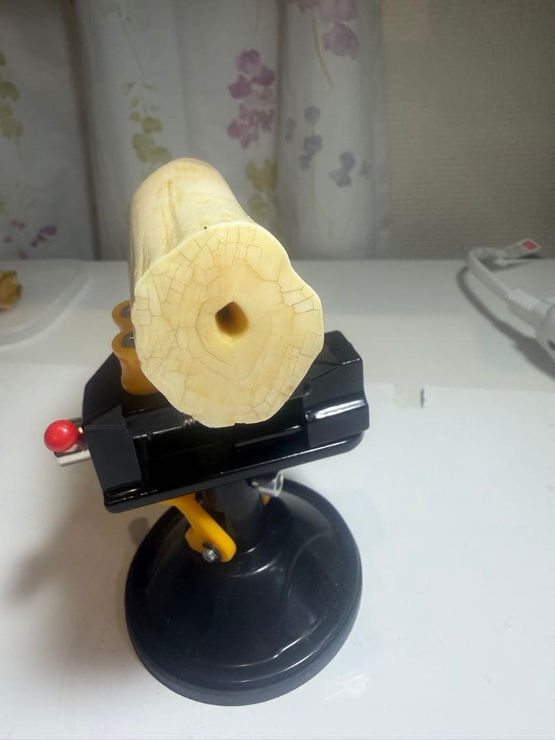 河馬歯　カバ牙　印材　彫刻材料　送料無料