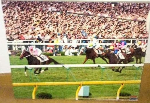 競馬パネル　トウカイテイオー