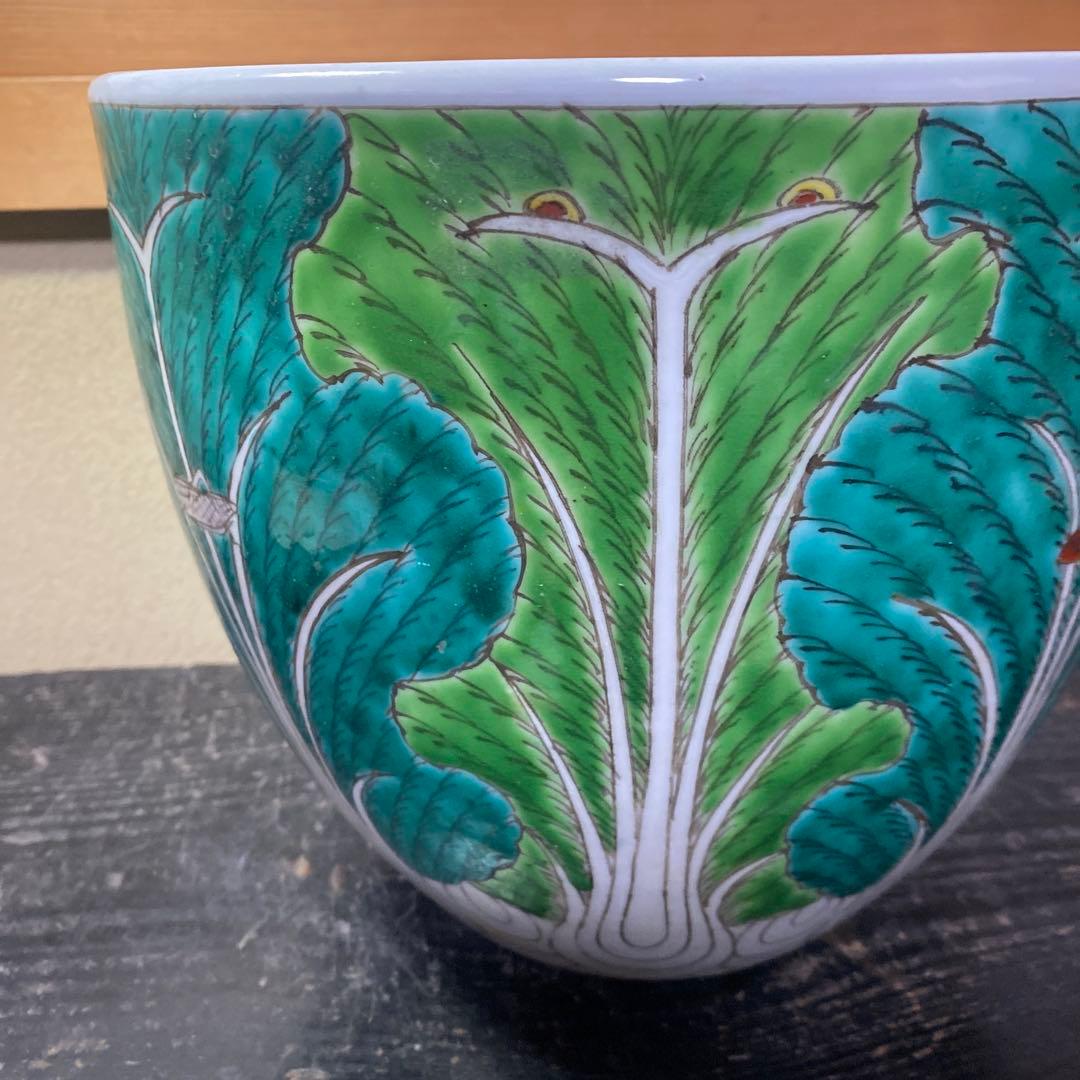 中国古玩　春白菜図水蓮鉢