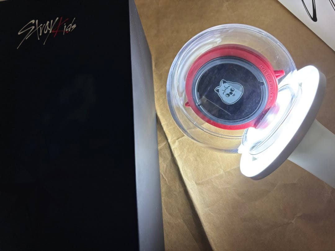 Stray Kids 公式ペンライト　2種セット