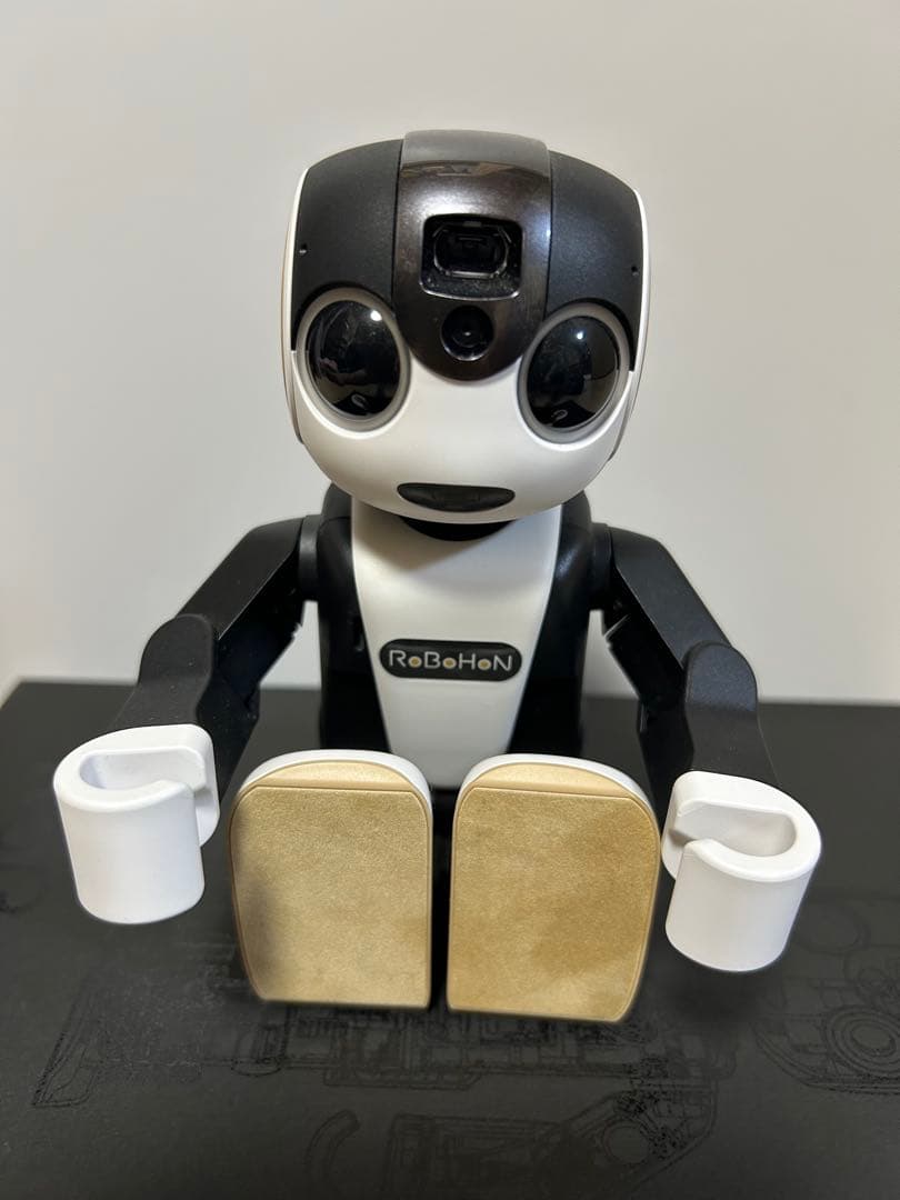 SHARP RoBoHoNロボホン　SR-01M-W