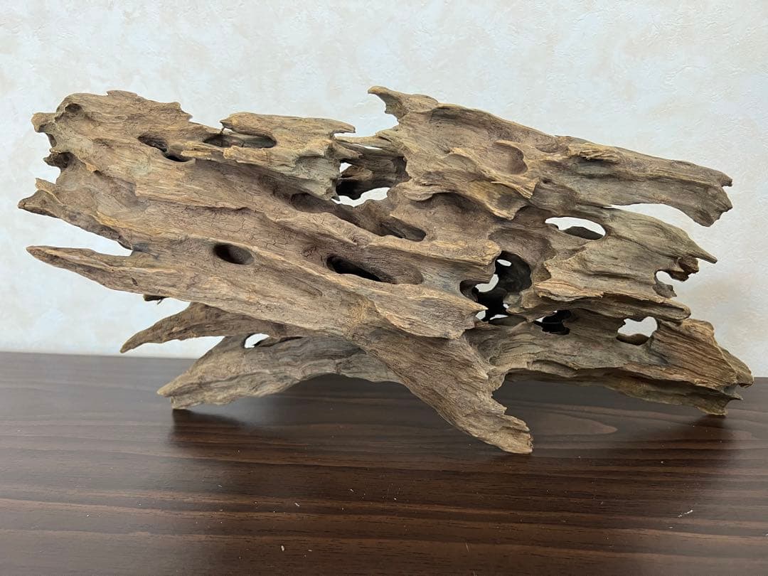 XM-212 流木　マシンガンウッド　アクアリウム　沈水確認済ブランチウッド