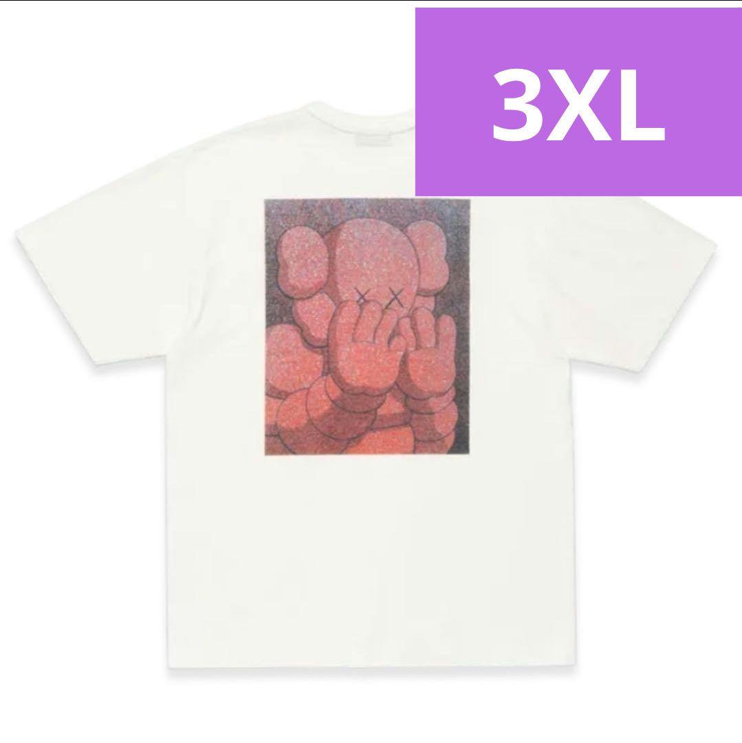 HUMAN MADE x KAWS コラボ KAWS MADE 新品 3XL