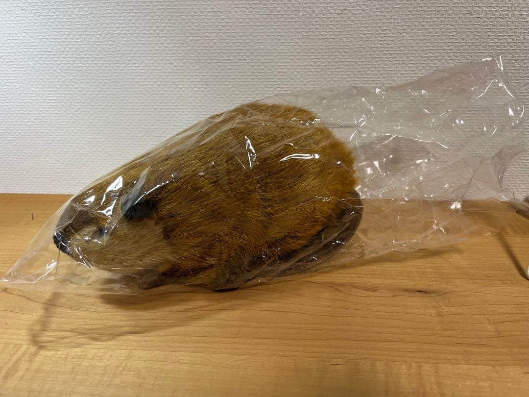 SUPER BEAVER ぬいぐるみ 吉徳 スーパービーバーちゃん