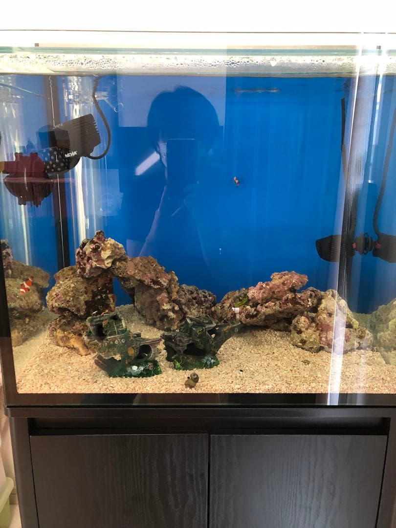 オーバーフロー水槽 60cm ワイド