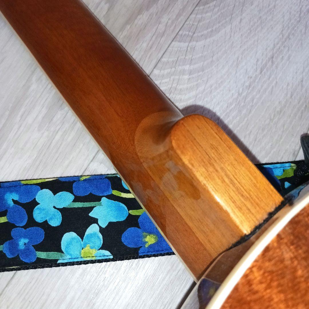 ARIA アリア ギターバンジョー SB-10G 6弦　バンジョ レモヘッド