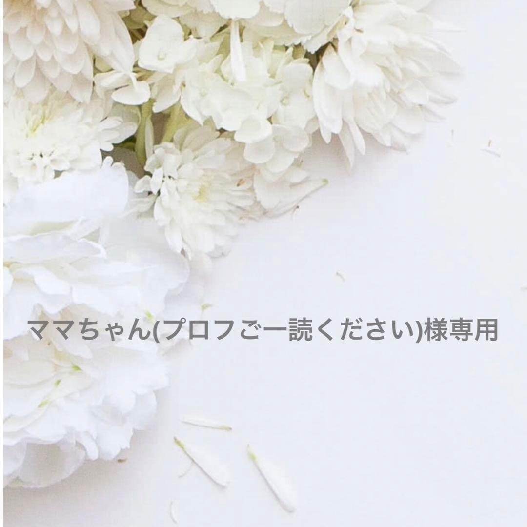 ママちゃん(プロフご一読ください)様　発送別分