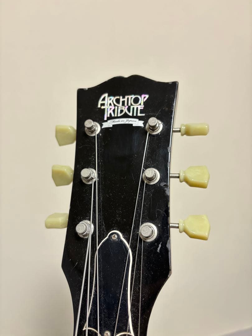 ギター Archtop Tribute AT101