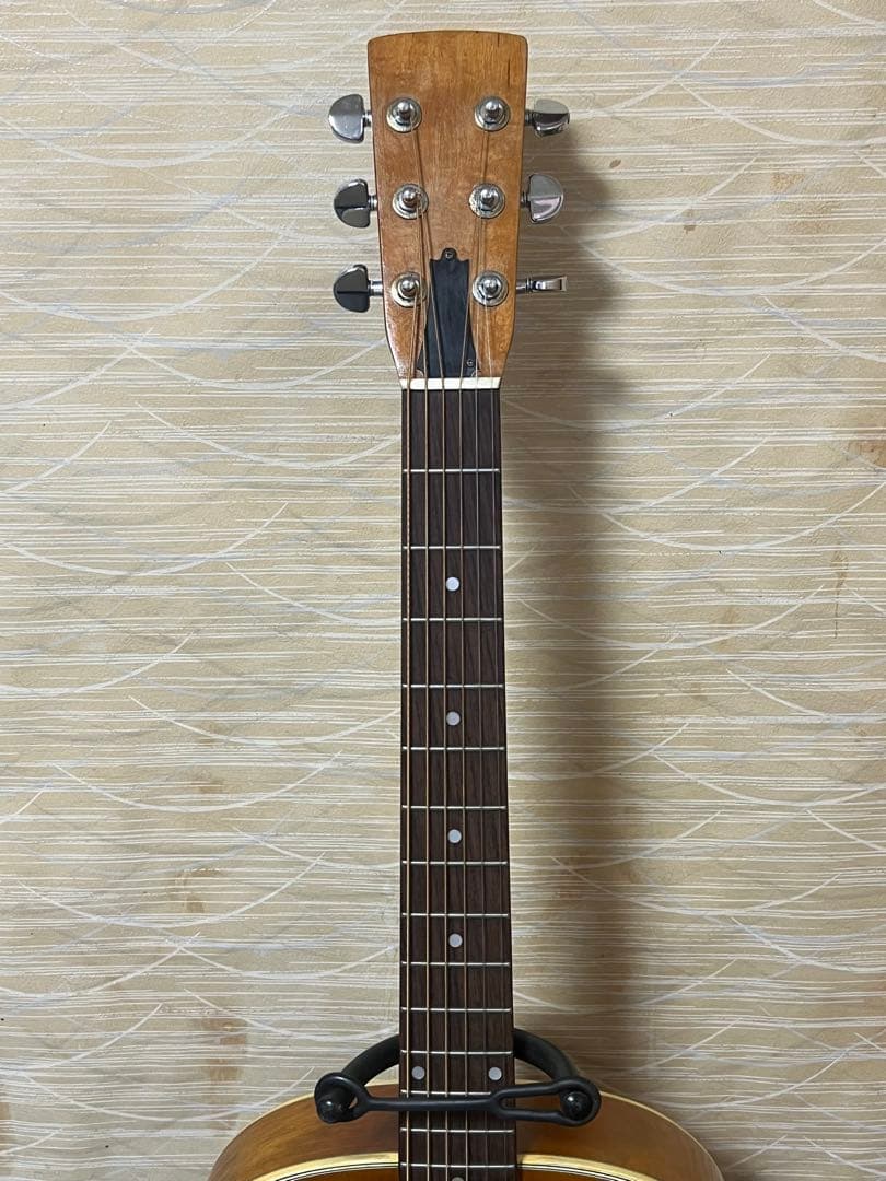 【希少】Greco D-80P？アコースティックギター 美品