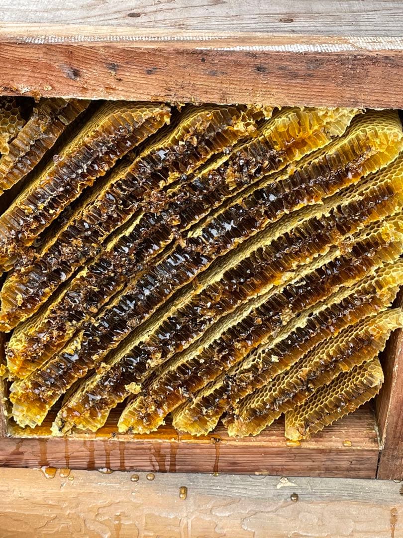 日本蜜蜂重箱式巣箱のスノコ！ハニーズハウス用！5個！送料無料！