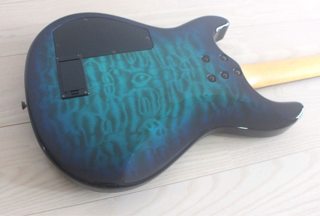 Fernandes フェルナンデス APG-65S サスティナー搭載