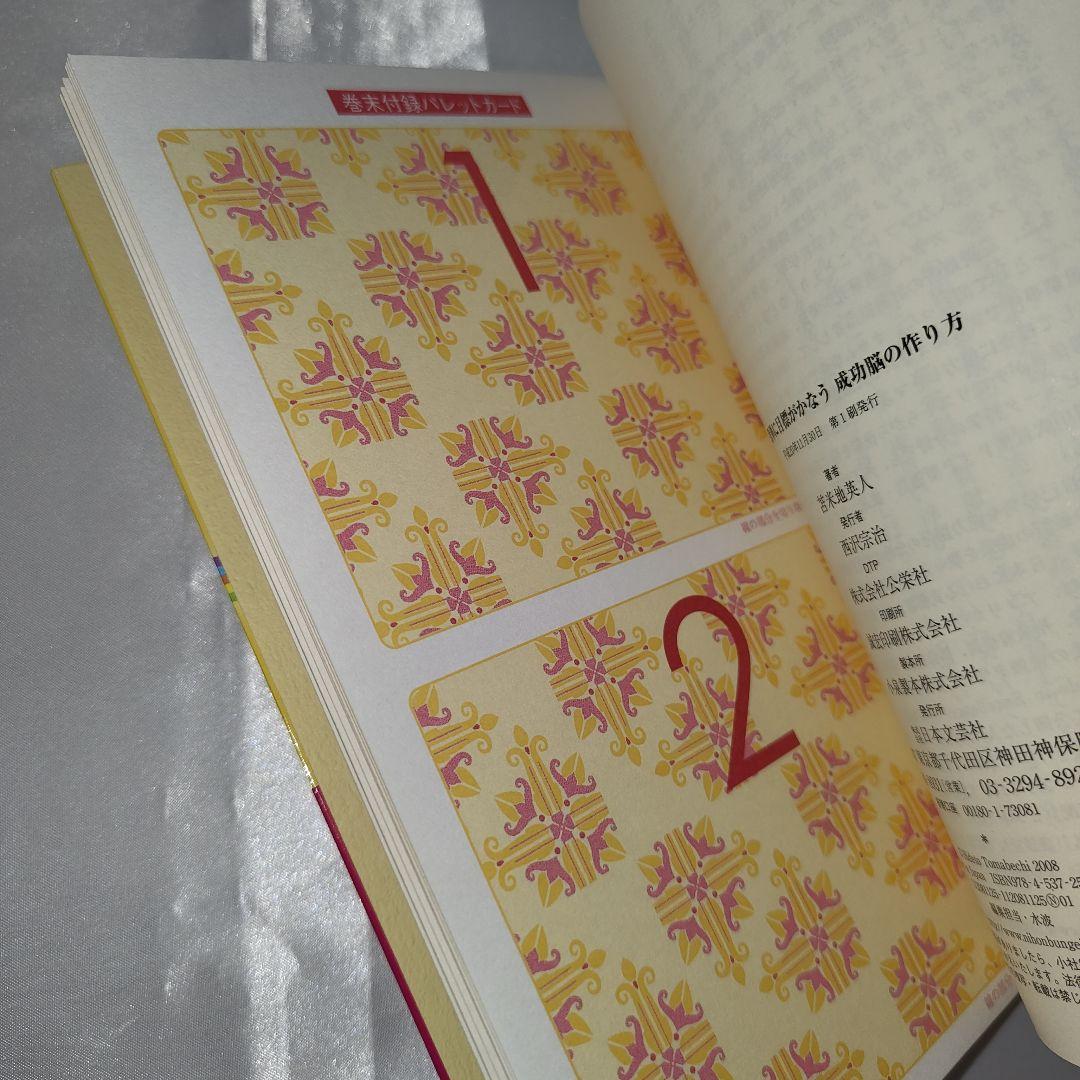 苫米地英人 ビジネス書籍セット 19冊