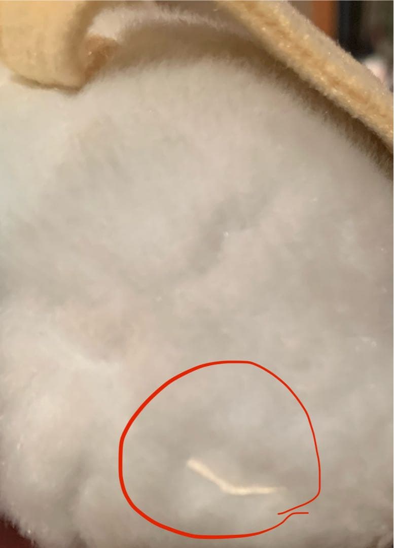 ポケモン　ジラーチぬいぐるみ　2003年　※商品説明欄必読