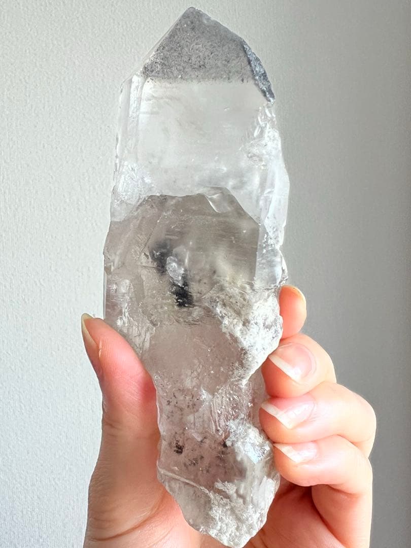 美超希少✨AAAAブラックファントムレムリアン✨天界のホワイトガーデンピュアレイ