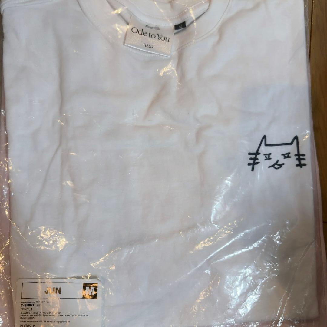 SEVENTEEN Tシャツ ジュン まとめ売り