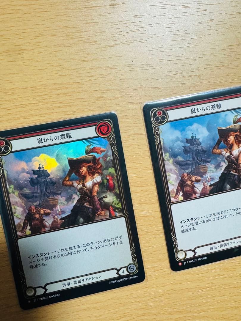 嵐からの避難 2枚 日語 flesh and blood RF