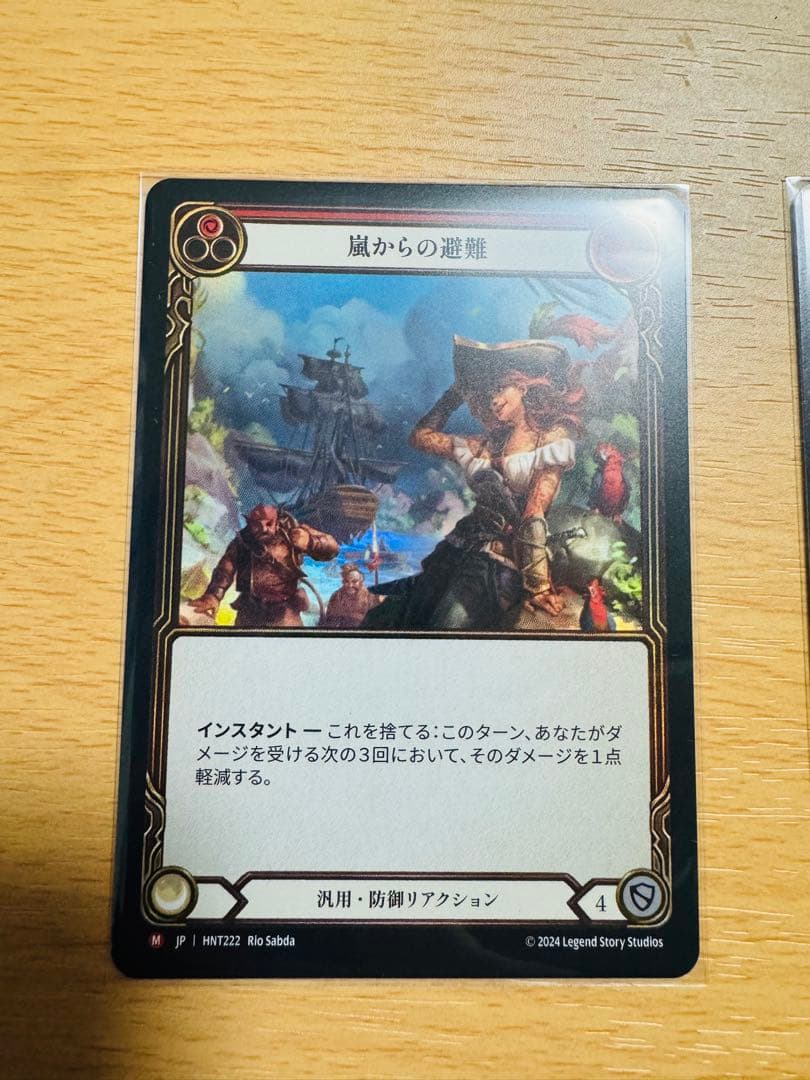 嵐からの避難 2枚 日語 flesh and blood RF