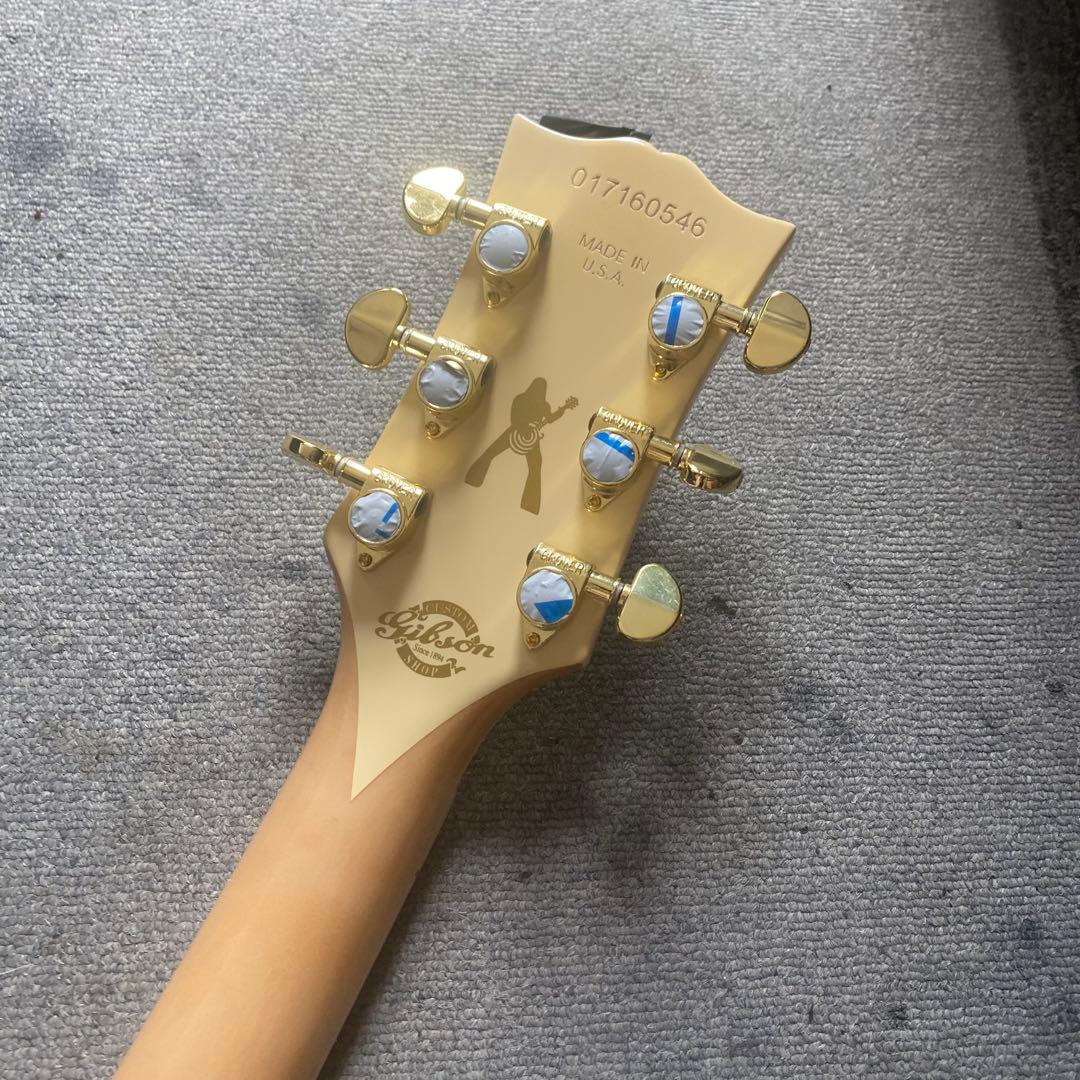 ザックワイルドモデル 高品質コンポーネントギター ブルズアイレスポール