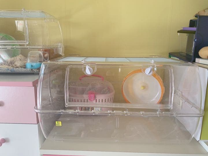 セット売りです。