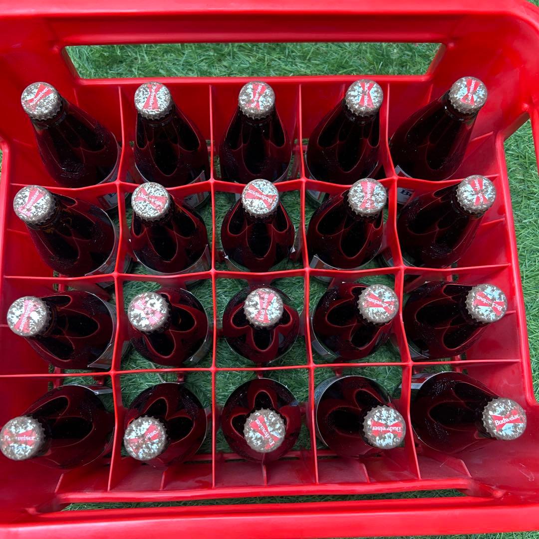 30年以上前の瓶ビール　Budweiser ケース　20本セット　古酒　希少