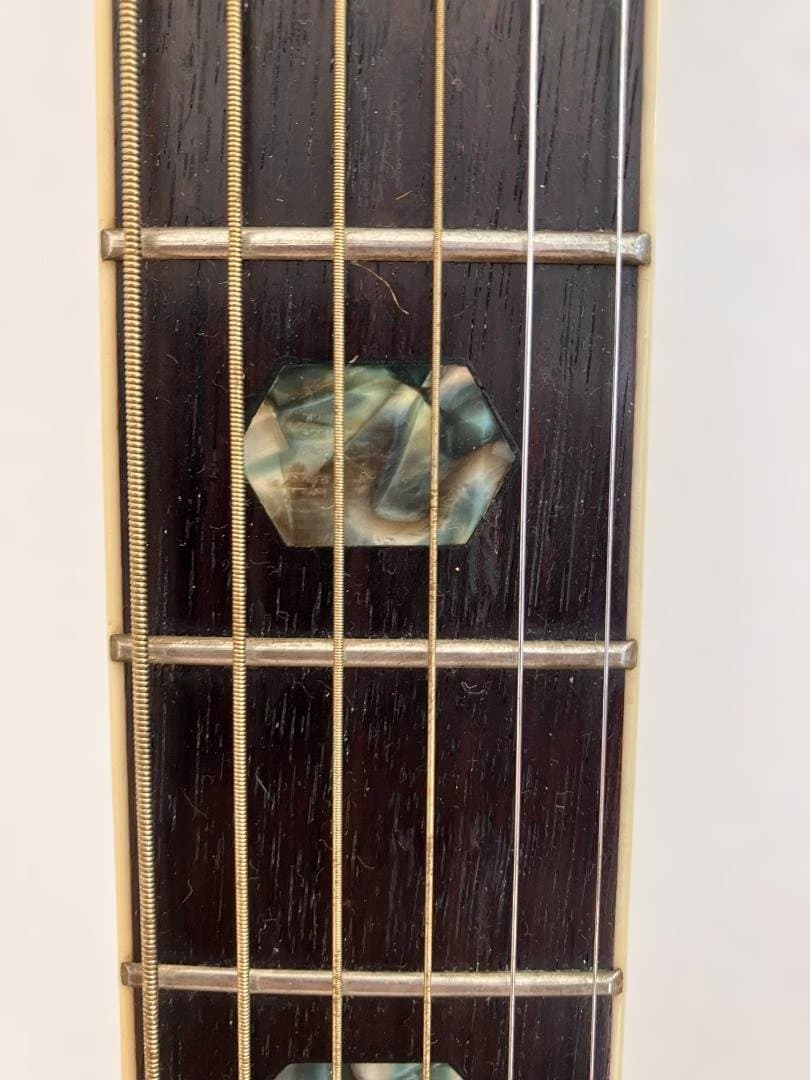 【サンバースト・縦ロゴ】Morris W-40 3Pバック ハードケース付