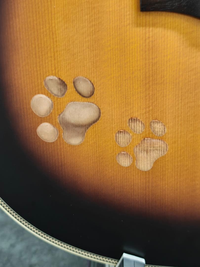 猫ギター　Headway