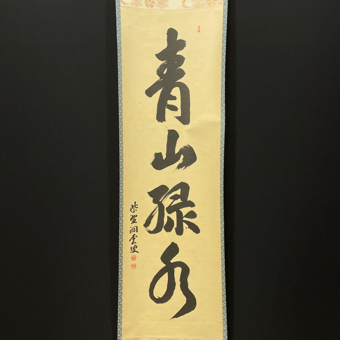 4100 紫野洞雲 「青山緑水」 共箱 肉筆 紙本 掛軸 臨済宗 大徳寺 禅語