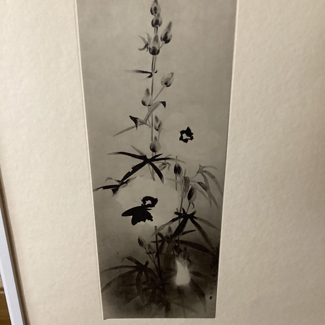 天才画家　速水御舟　作品集大作編　便利堂監修　画集【露　潤】　NO 41