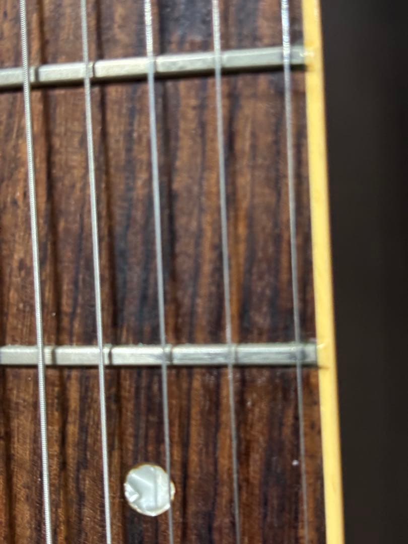 Kenz330様Gibson Les Paul Special DC ブラック