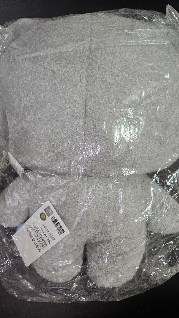 ZEROBASEONE ZERONI フラットぬいぐるみ ゴヌク ゴニニ ZB1