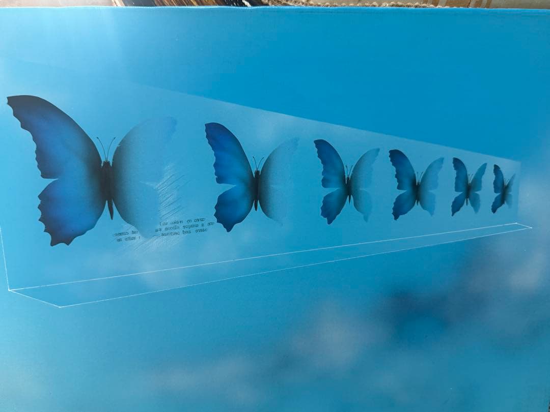 松哲也　時空　蝶の変化を描いたアート作品　送料込み0321