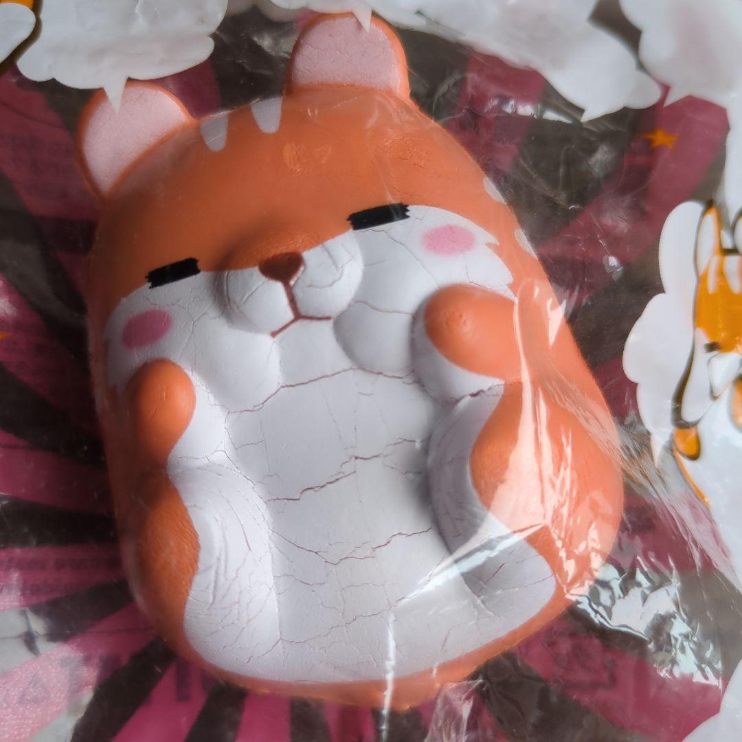 Bloomのスクイーズ　16点おまとめセット♪