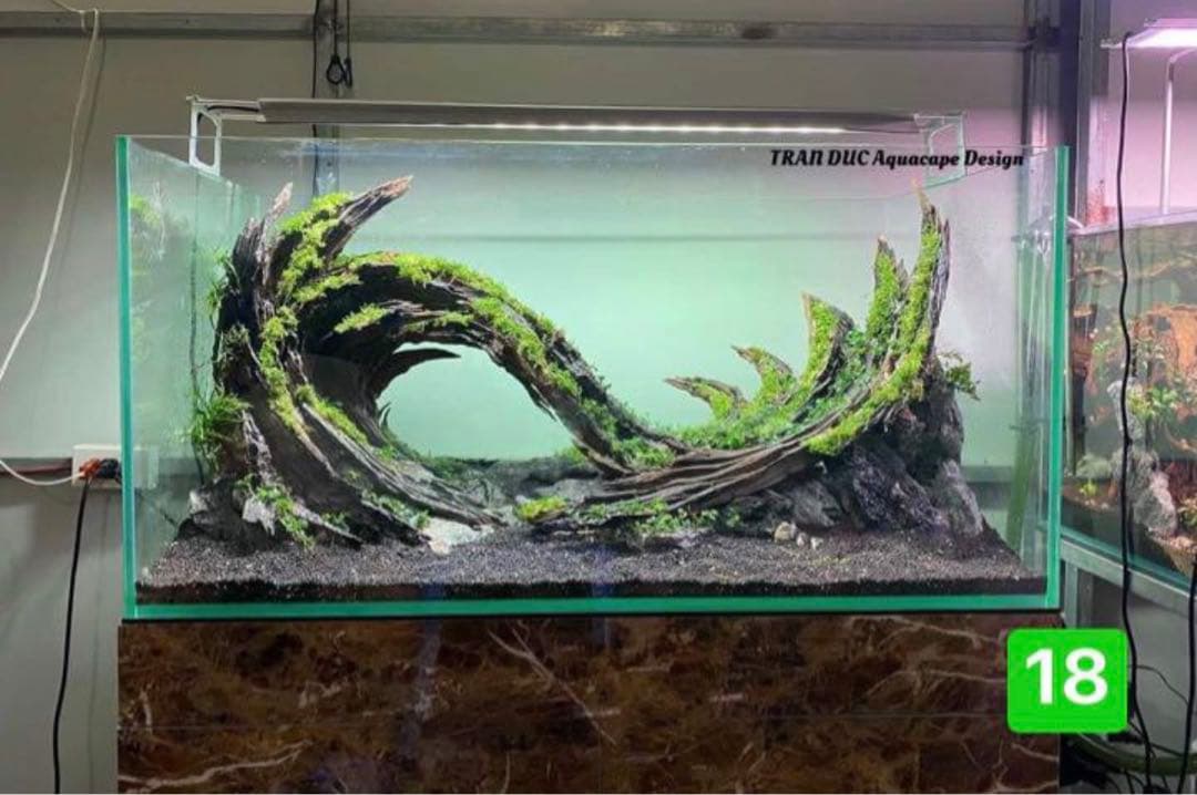 盆栽流木　　水草用の 流木。流木アクアリウム　パルダリウム　マシンガンウッド