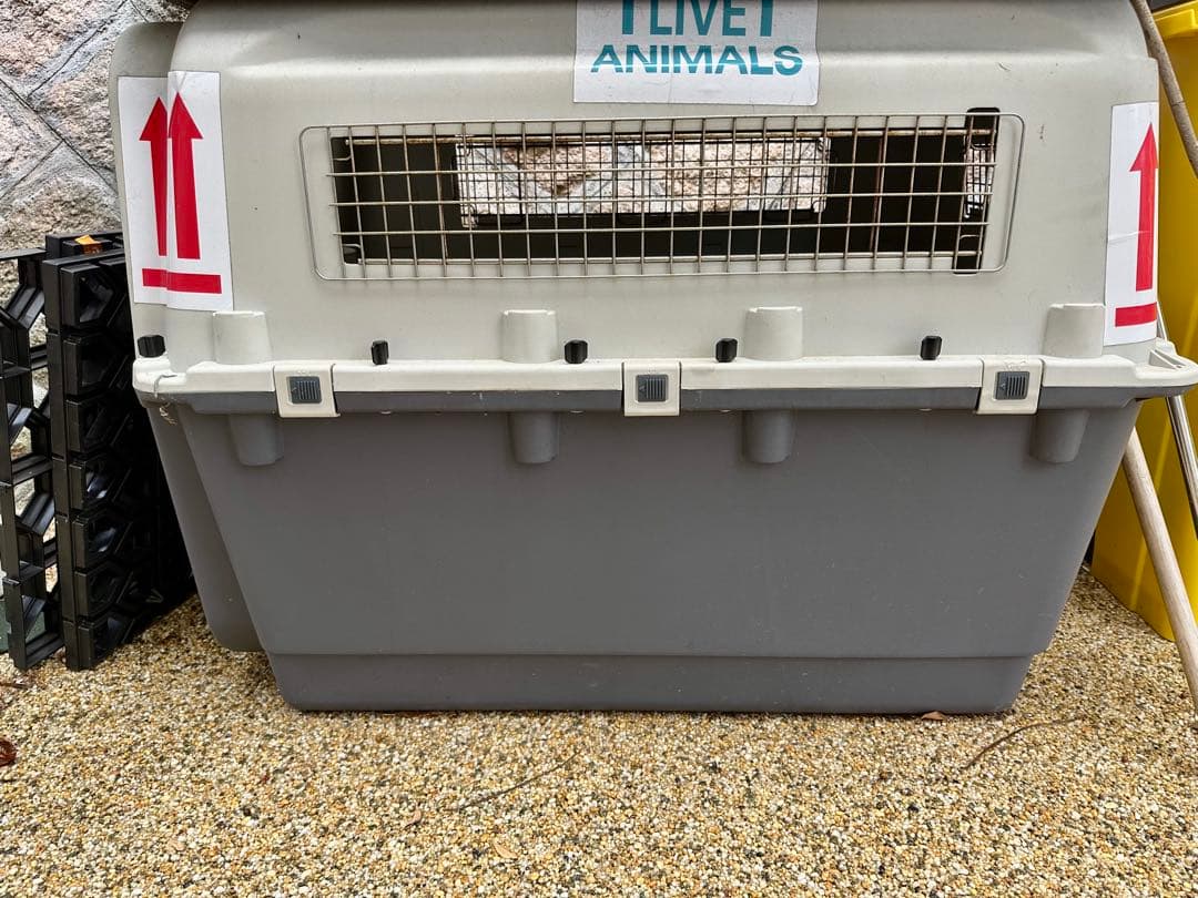 飛行機　犬 キャリーケース ペット エアトラベルキャリー ペット用ケージ