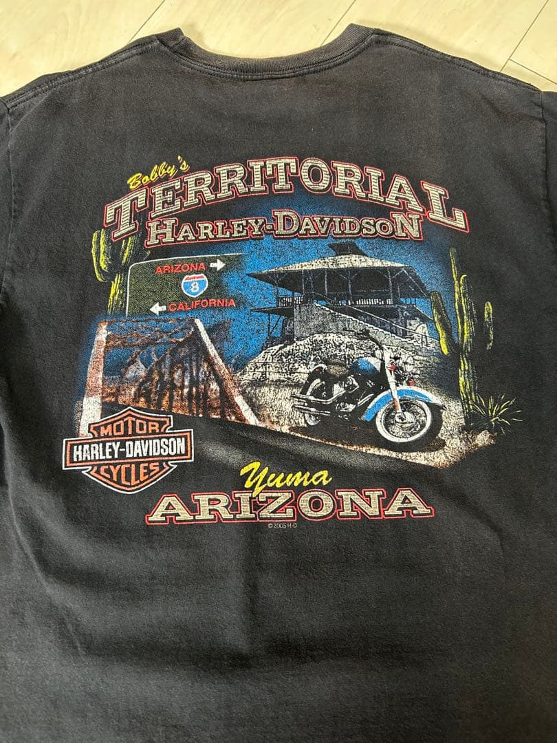 harley davidson パープル ファイヤー フレイム カニエウエストL