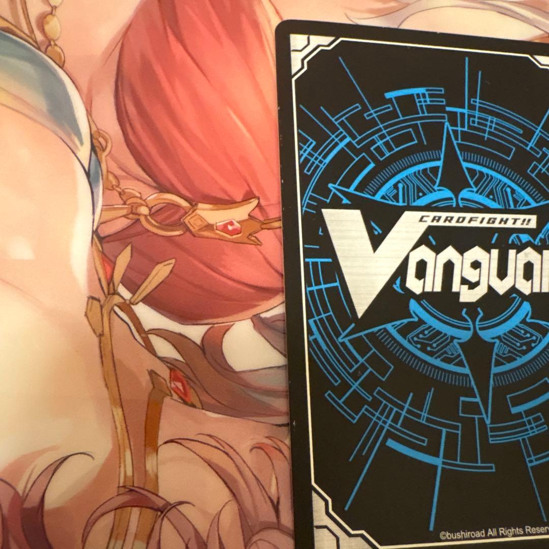 スノウスキップパルヴィ LSR ②