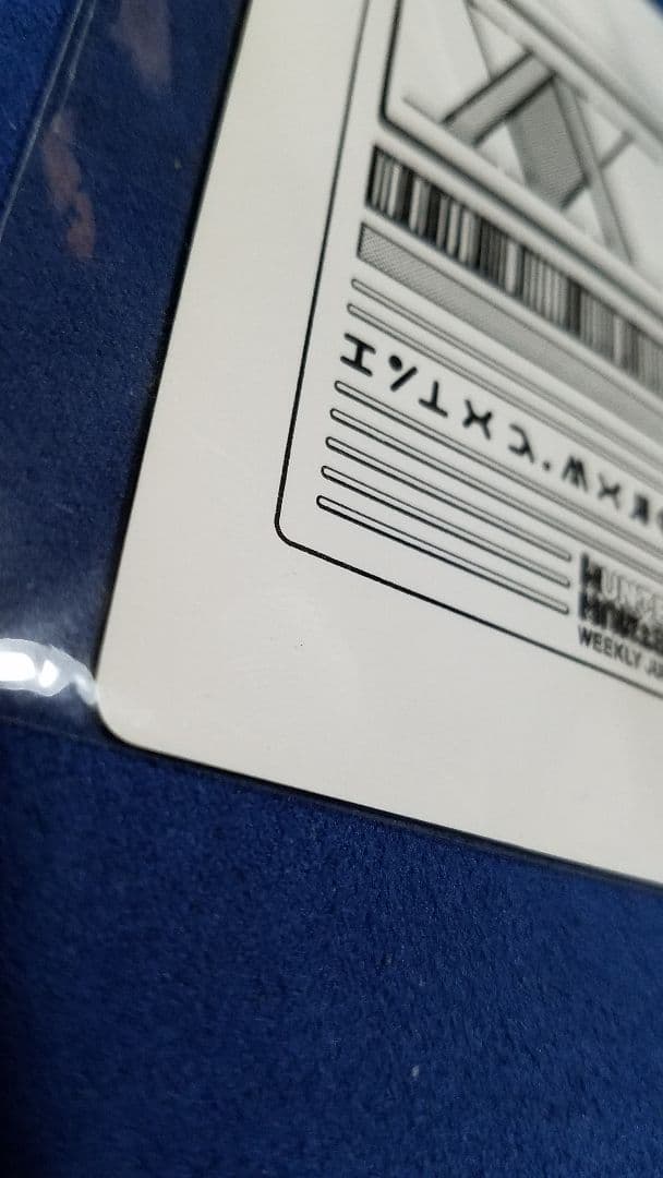 ハンターハンター　初期懸賞品　ハンターライセンス　ヘルスチェックカード